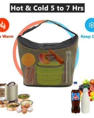 TOURGOD® Insulated Canvas Lunch Bag | Tiffin Organizer for Office & Picnic