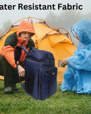 Frost Cooler Backpack for Office & Travel (Blue)